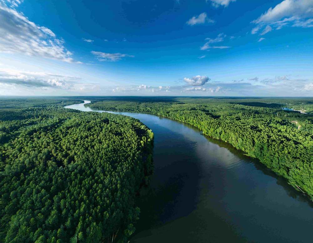 Amazonia
